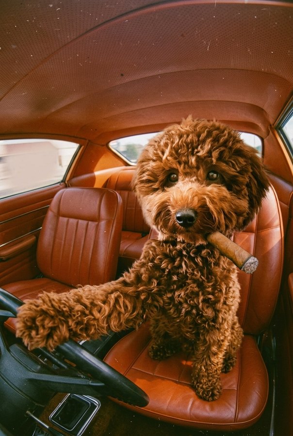 Esempio dello stile Anni '90 in auto