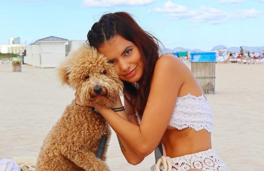 Foto di partenza: una ragazza con le trecce abbraccia il suo barboncino chiaro, seduti sulla sabbia in spiaggia