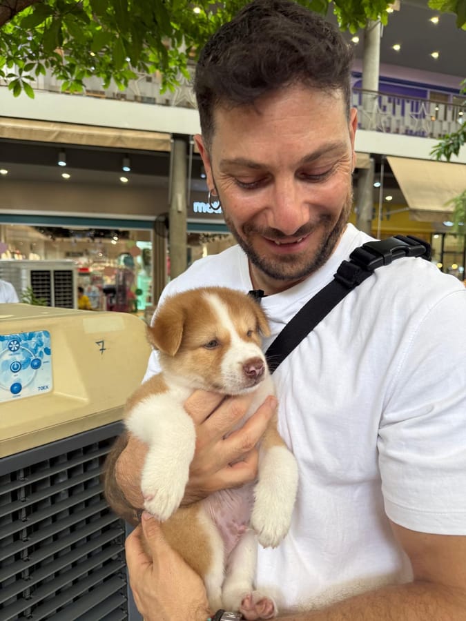 Foto di partenza: un uomo sorridente tiene in braccio un cucciolo bianco e fulvo, in un centro commerciale
